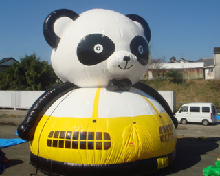 panda dome.jpg